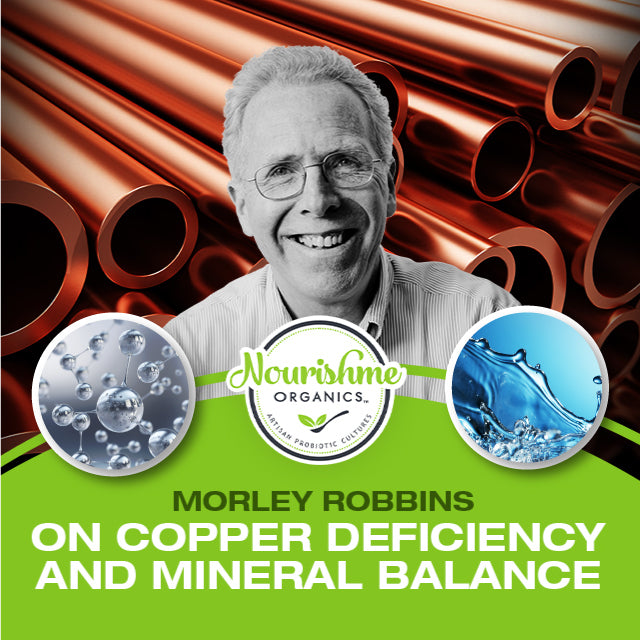 Morley Robbins on Copper Deficiency and Mineral Balance