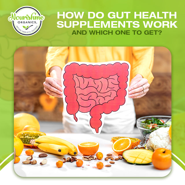 How do gut health supplements work and which one to get? – Nourishme ...