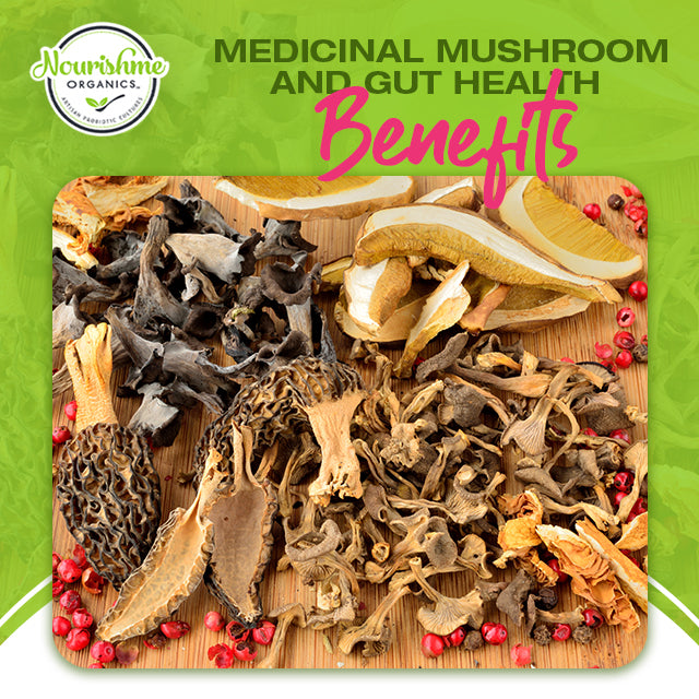 Medicinal Mushroom & Gut Health Benefits