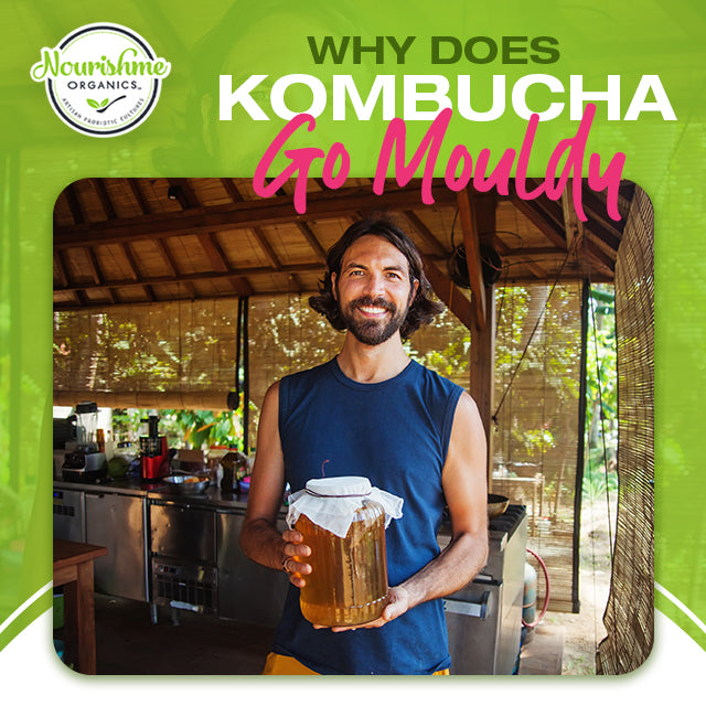 Why Does Kombucha Go Mouldy? – Nourishme Organics