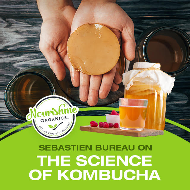 Sebastien Bureau on The Science of Kombucha